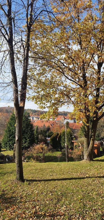 A&S Apartaments - Relax Walbrzych Bagian luar foto